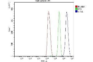 Flow Cytometry analysis of HEPA1-6 cells using anti-Cathepsin L/MEP/Ctsl antibody (ABIN7603032).