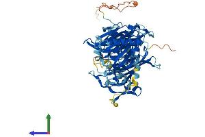 AlphaFold protein structure predicition of Mouse Recombinant Acot11 Protein, UniprotID Q8VHQ9
