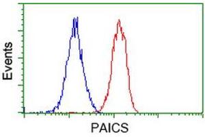 Flow cytometric Analysis of Jurkat cells, using anti-PAICS antibody (ABIN2453416), (Red), compared to a nonspecific negative control antibody (ABIN2453416), (Blue). (PAICS anticorps)