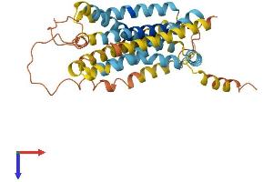Vomeronasal 1 Receptor 5 (VN1R5) (AA 1-357) protein (His tag)