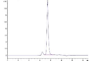 The purity of Biotinylated Human HGF R is greater than 95 % as determined by SEC-HPLC.