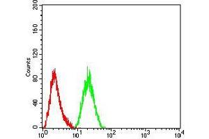 Flow cytometric analysis of Hela cells using ARF1 mouse mAb (green) and negative control (red).