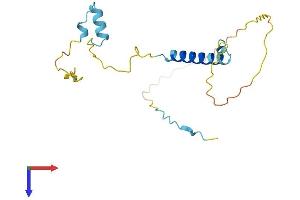 AlphaFold protein structure predicition of Human Recombinant SMAP Protein, UniprotID O00193