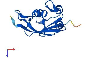 AlphaFold protein structure predicition of Human Recombinant URM1 Protein, UniprotID Q9BTM9