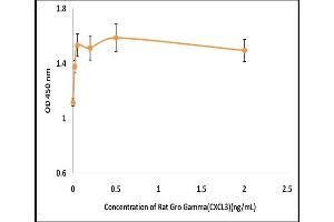 Activity Assay (AcA) image for Growth Regulated Oncogene gamma (GRO gamma) (Active) protein (ABIN5509447)