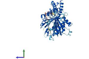 AlphaFold protein structure predicition of Human Recombinant TUBB1 Protein, UniprotID Q9H4B7