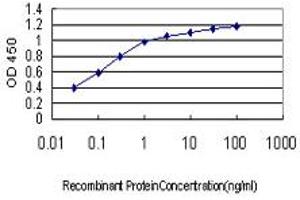 Detection limit for recombinant GST tagged PDE1B is approximately 0. (PDE1B anticorps  (AA 437-536))