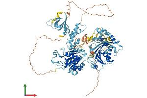 AlphaFold protein structure predicition of Mouse Recombinant Rad54b Protein, UniprotID Q6PFE3