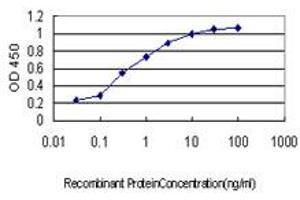 Detection limit for recombinant GST tagged SH3RF2 is approximately 0. (SH3RF2 anticorps  (AA 640-729))