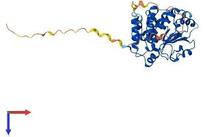 AlphaFold protein structure predicition of Mouse Recombinant Ttpal Protein, UniprotID Q9D3D0