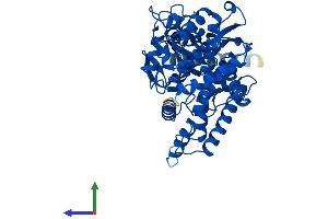 AlphaFold protein structure predicition of Human Recombinant CYP2E1 Protein, UniprotID P05181