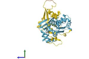 AlphaFold protein structure predicition of Mouse Recombinant Nprl2 Protein, UniprotID Q9WUE4
