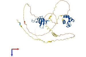AlphaFold protein structure predicition of Mouse Recombinant Sash3 Protein, UniprotID Q8K352