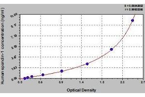 Typical standard curve (SPON1 Kit ELISA)