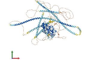 AlphaFold protein structure predicition of Mouse Recombinant Ppfia2 Protein, UniprotID Q8BSS9