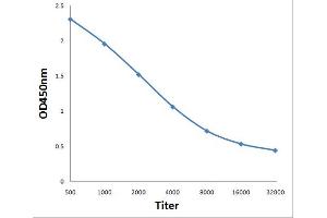 Antigen: 0. (CHMP4B anticorps  (AA 101-200))