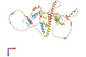AlphaFold protein structure predicition of Mouse Recombinant Ikzf3 Protein, UniprotID O08900