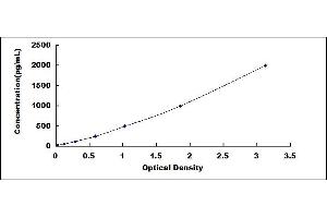 Egl-9 Family Hypoxia Inducible Factor 1 (EGLN1) ELISA Kit