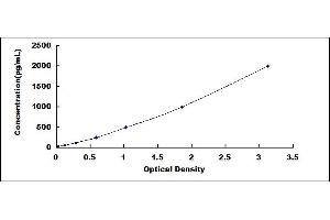 Typical standard curve (EGLN1 Kit ELISA)