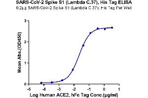 Immobilized SARS-CoV-2 Spike S1 (Lambda C.