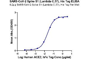ELISA image for SARS-CoV-2 Spike S1 (C.37 - Lambda) protein (His tag) (ABIN7275137)