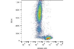 Flow cytometry analysis (surface staining) of human peripheral blood cells with anti-human CD229 (HLy9. (LY9 anticorps  (APC))