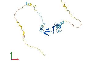 AlphaFold protein structure predicition of Mouse Recombinant Btf3 Protein, UniprotID Q64152