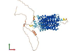 AlphaFold protein structure predicition of Mouse Recombinant Flvcr1 Protein, UniprotID B2RXV4