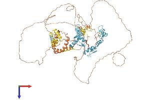 AlphaFold protein structure predicition of Human Recombinant BCL6 Protein, UniprotID P41182