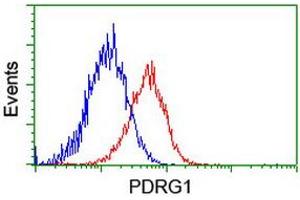 Flow cytometric Analysis of Hela cells, using anti-PDRG1 antibody (ABIN2455631), (Red), compared to a nonspecific negative control antibody, (Blue). (PDRG1 anticorps)