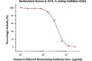 Immobilized Biotinylated Human IL-23 R, Fc,Avitag (ABIN6810042,ABIN6938853) at 5 μg/mL (100 μL/well), can bind  increasing concentrations of Human IL23A/p19 Neutralizing Antibody and 0.