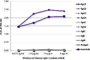 ELISA plate was coated with serially diluted Human IgG1 Lambda-UNLB and quantified. (Human IgG1 Isotype Control)