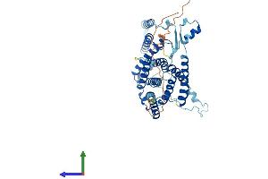 AlphaFold protein structure predicition of Mouse Recombinant Ptdss2 Protein, UniprotID Q9Z1X2