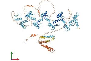 AlphaFold protein structure predicition of Human Recombinant ZNF227 Protein, UniprotID Q86WZ6