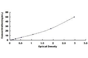 Typical standard curve (CXCR2 Kit ELISA)