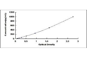 ELISA image for Nerve Growth Factor (NGF) ELISA Kit (ABIN415879)