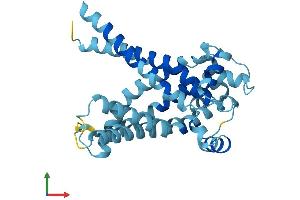 AlphaFold protein structure predicition of Mouse Recombinant Slc25a15 Protein, UniprotID Q9WVD5