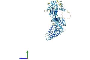 AlphaFold protein structure predicition of Mouse Recombinant Ak7 Protein, UniprotID Q9D2H2