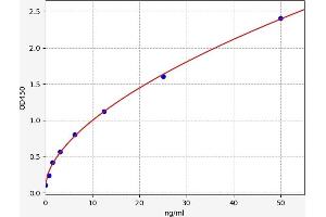 Typical standard curve (LDHD Kit ELISA)