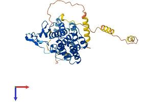 AlphaFold protein structure predicition of Human Recombinant OSCP1 Protein, UniprotID Q8WVF1