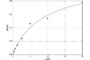 A typical standard curve (WNT4 Kit ELISA)