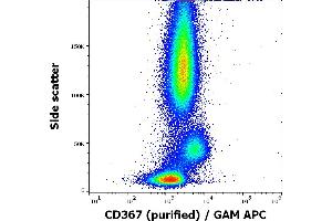 Flow cytometry surface staining pattern of human peripheral whole blood stained using anti-human CD367 (9E8) purified antibody (concentration in sample 0,6 μg/mL, GAM APC). (CLEC4A anticorps)