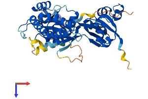 AlphaFold protein structure predicition of Human Recombinant OLA1 Protein, UniprotID Q9NTK5