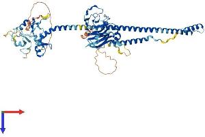 AlphaFold protein structure predicition of Mouse Recombinant Trim47 Protein, UniprotID Q8C0E3