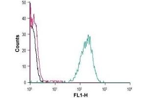 Cell surface detection of FFAR4 in live intact human THP-1 monocytic leukemia cells: (black line) Cells.