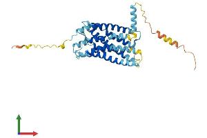 AlphaFold protein structure predicition of Mouse Recombinant Cx3cr1 Protein, UniprotID Q9Z0D9