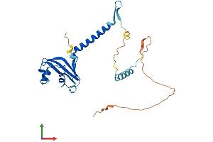 AlphaFold protein structure predicition of Mouse Recombinant Med6 Protein, UniprotID Q921D4