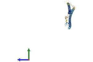 AlphaFold protein structure predicition of Mouse Recombinant Gm136 Protein, UniprotID Q3V037