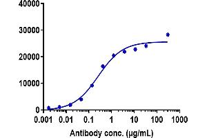 PANC-1 cells were stained with Anti-CD47 Reference Antibody (lemzoparlimab) and negative control protein respectively, washed and then followed by PE and analyzed with FACS, EC50=0. (Recombinant CD47 (Lemzoparlimab Biosimilar) anticorps)
