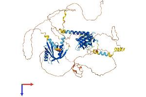 AlphaFold protein structure predicition of Human Recombinant APBB2 Protein, UniprotID Q92870